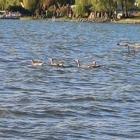 Gosciniec Twoje Mazury Nad Jeziorem Sniardwy Tuz Obok Plazy 新古提 外观 照片
