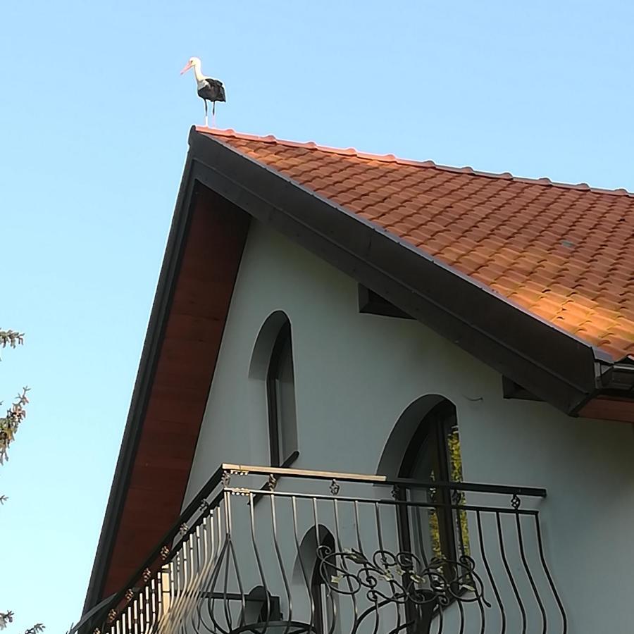 Gosciniec Twoje Mazury Nad Jeziorem Sniardwy Tuz Obok Plazy 新古提 外观 照片